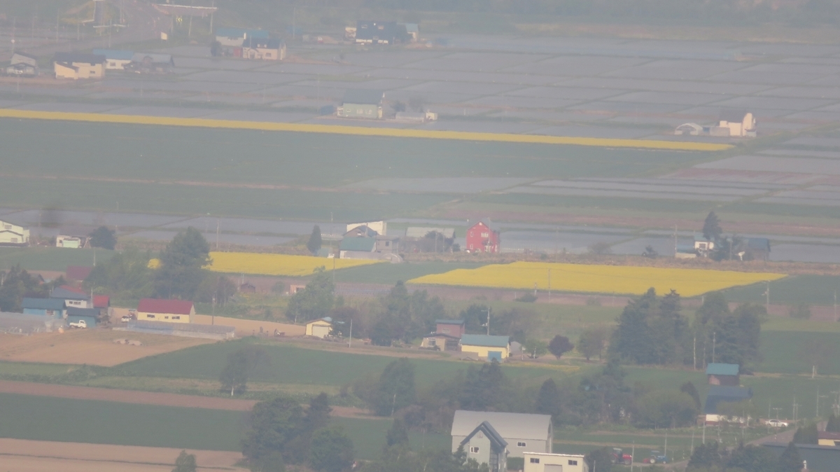 f:id:shirokumapanda:20190604235205j:plain f:id:shirokumapanda:20190604235205j:plain