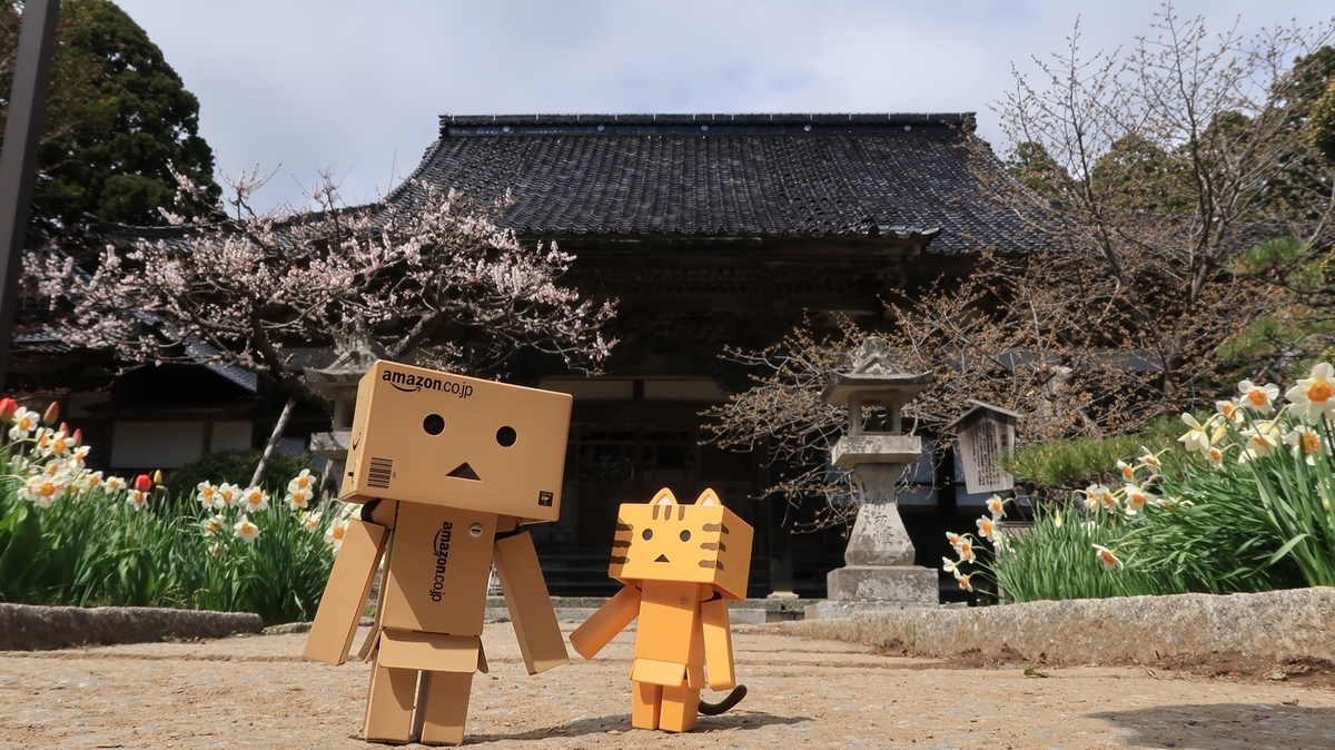 f:id:shirokumapanda:20190607224126j:plain