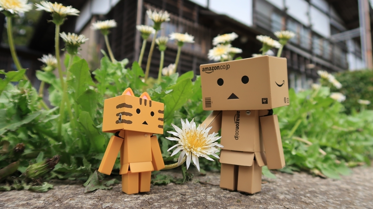f:id:shirokumapanda:20190607224215j:plain