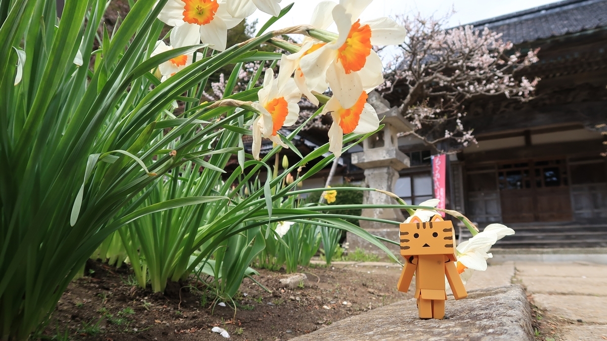 f:id:shirokumapanda:20190607224223j:plain