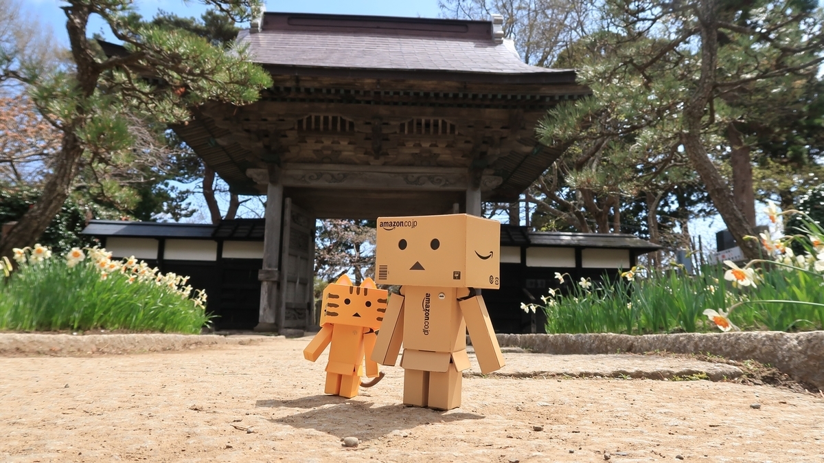 f:id:shirokumapanda:20190607224228j:plain