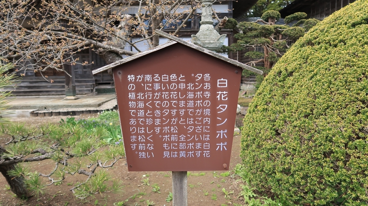 f:id:shirokumapanda:20190607224310j:plain
