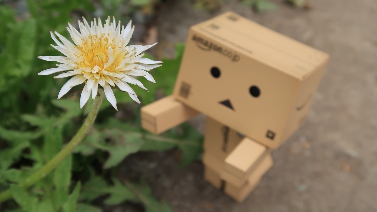 f:id:shirokumapanda:20190607224318j:plain
