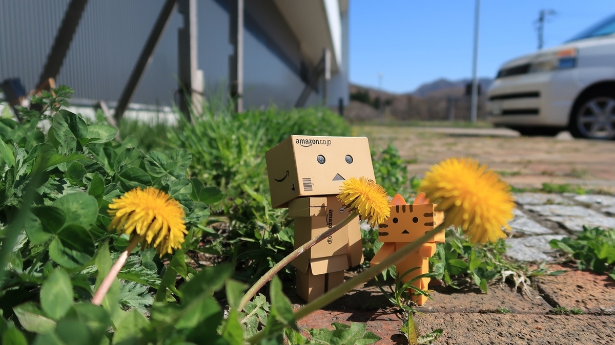f:id:shirokumapanda:20190608081926j:plain
