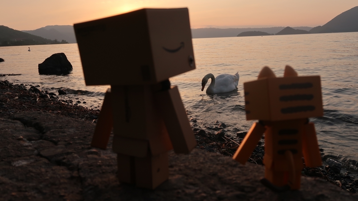 f:id:shirokumapanda:20190610020022j:plain