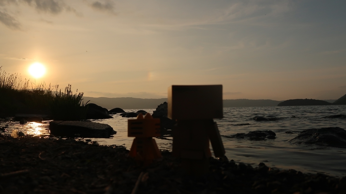 f:id:shirokumapanda:20190610231131j:plain