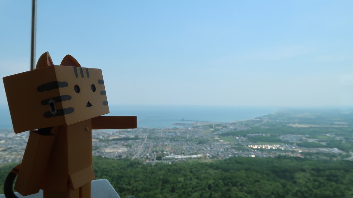 f:id:shirokumapanda:20190613025634j:plain