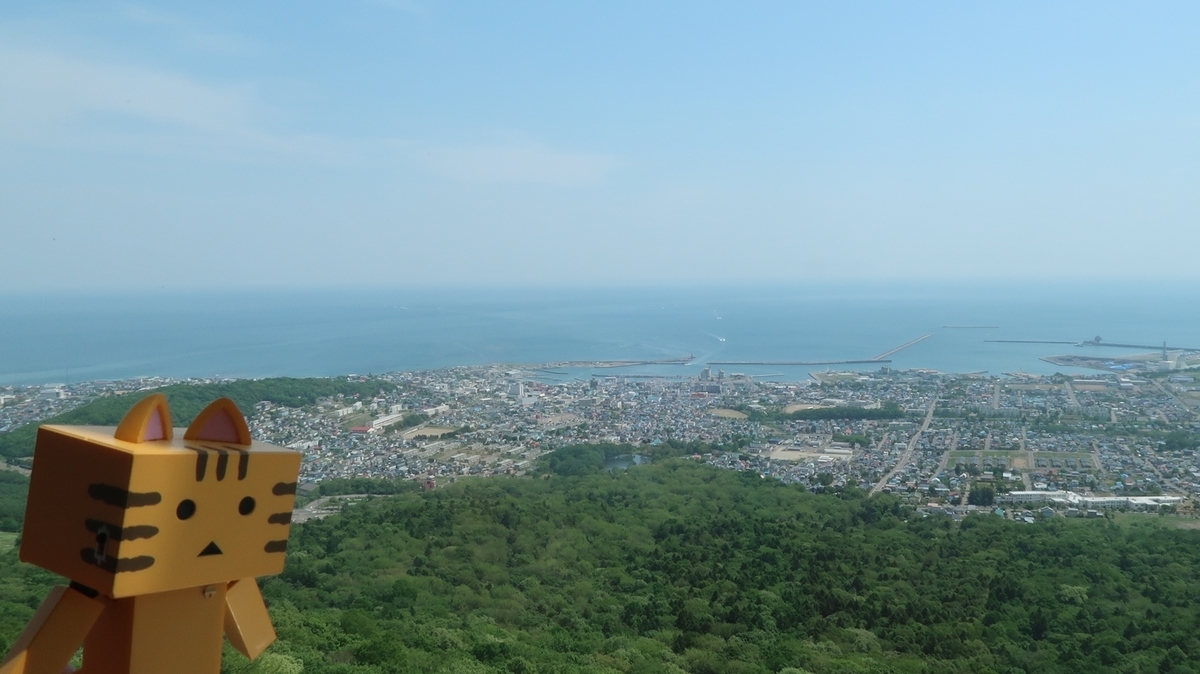 f:id:shirokumapanda:20190613025737j:plain