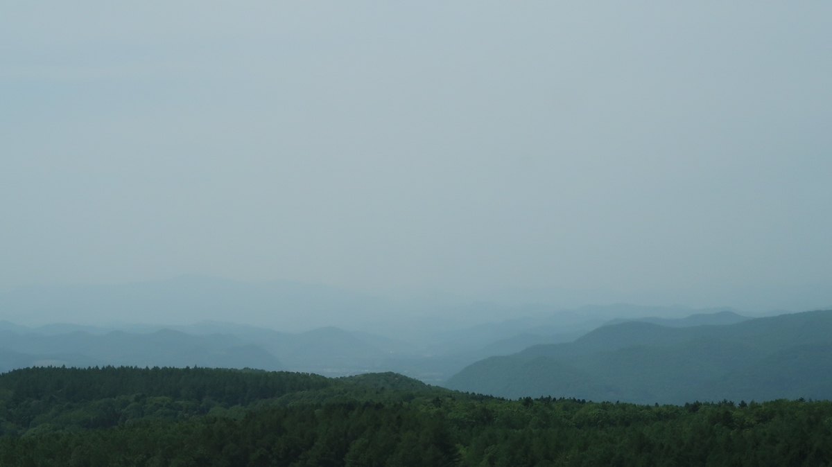 f:id:shirokumapanda:20190613025747j:plain