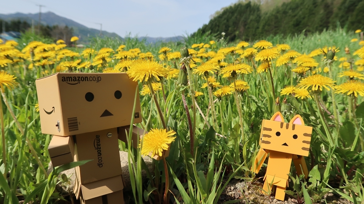 f:id:shirokumapanda:20190614235331j:plain