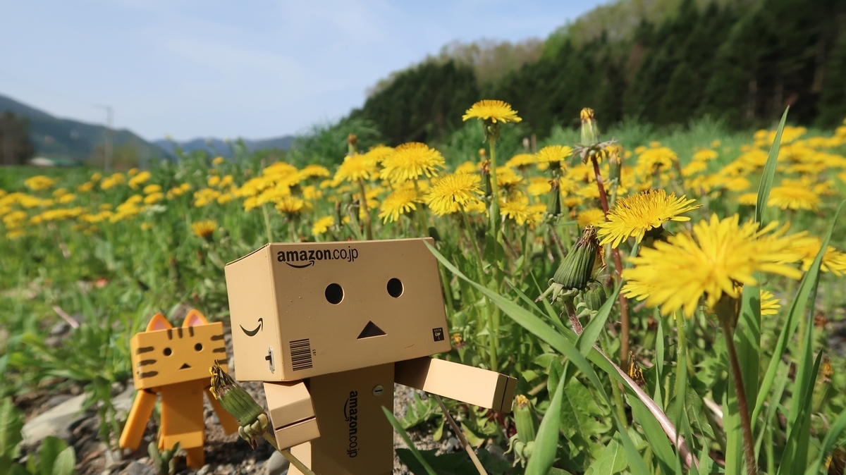 滝上町 道端のタンポポの群れ - 北海道ミテミル イッテミル （北海道