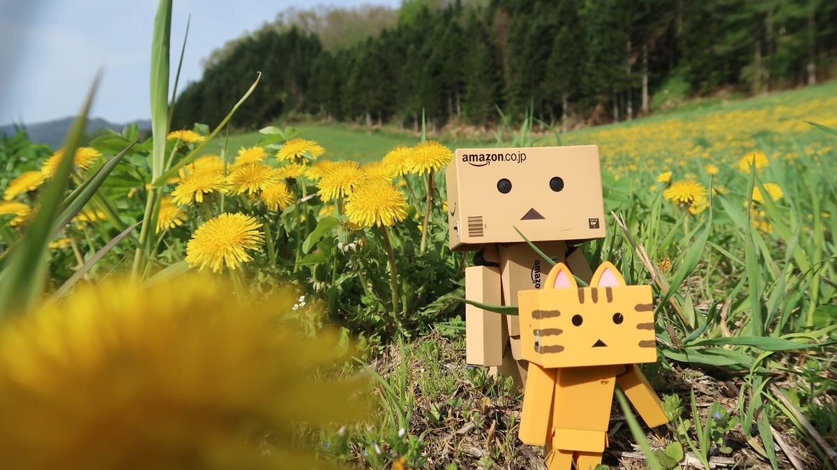 f:id:shirokumapanda:20190614235340j:plain