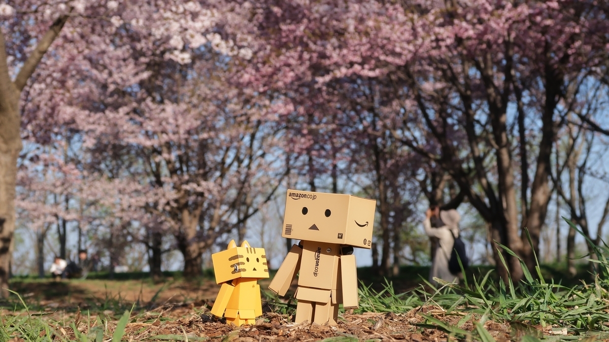 f:id:shirokumapanda:20190615235643j:plain