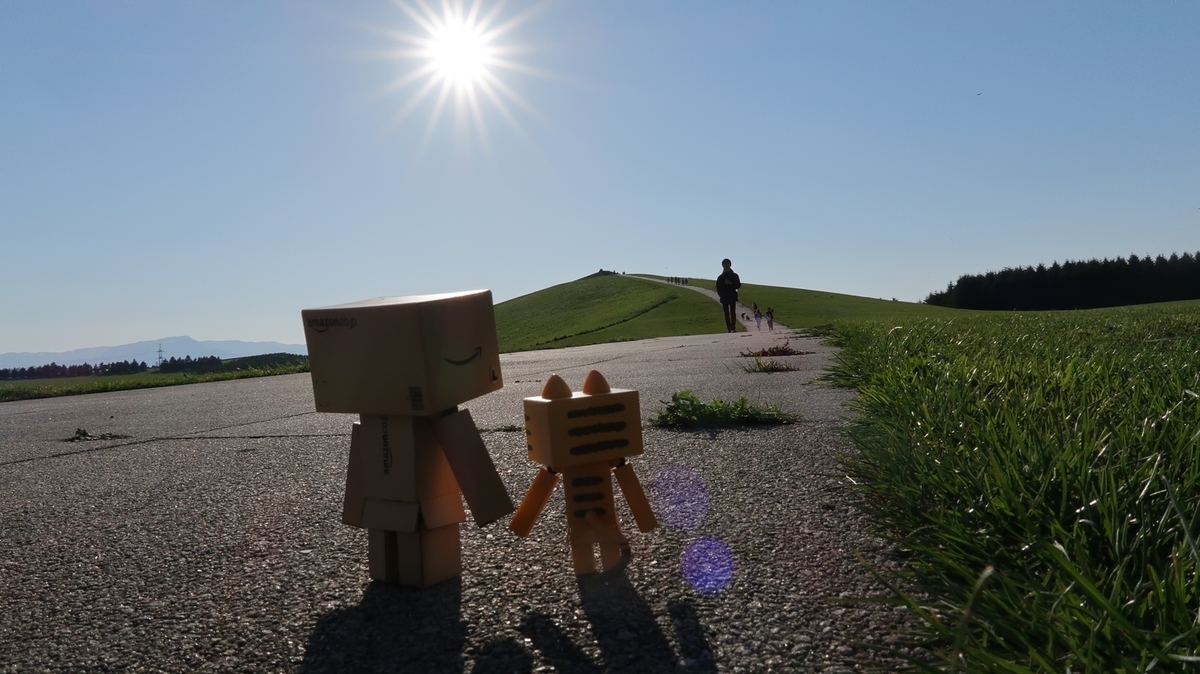 f:id:shirokumapanda:20190615235844j:plain