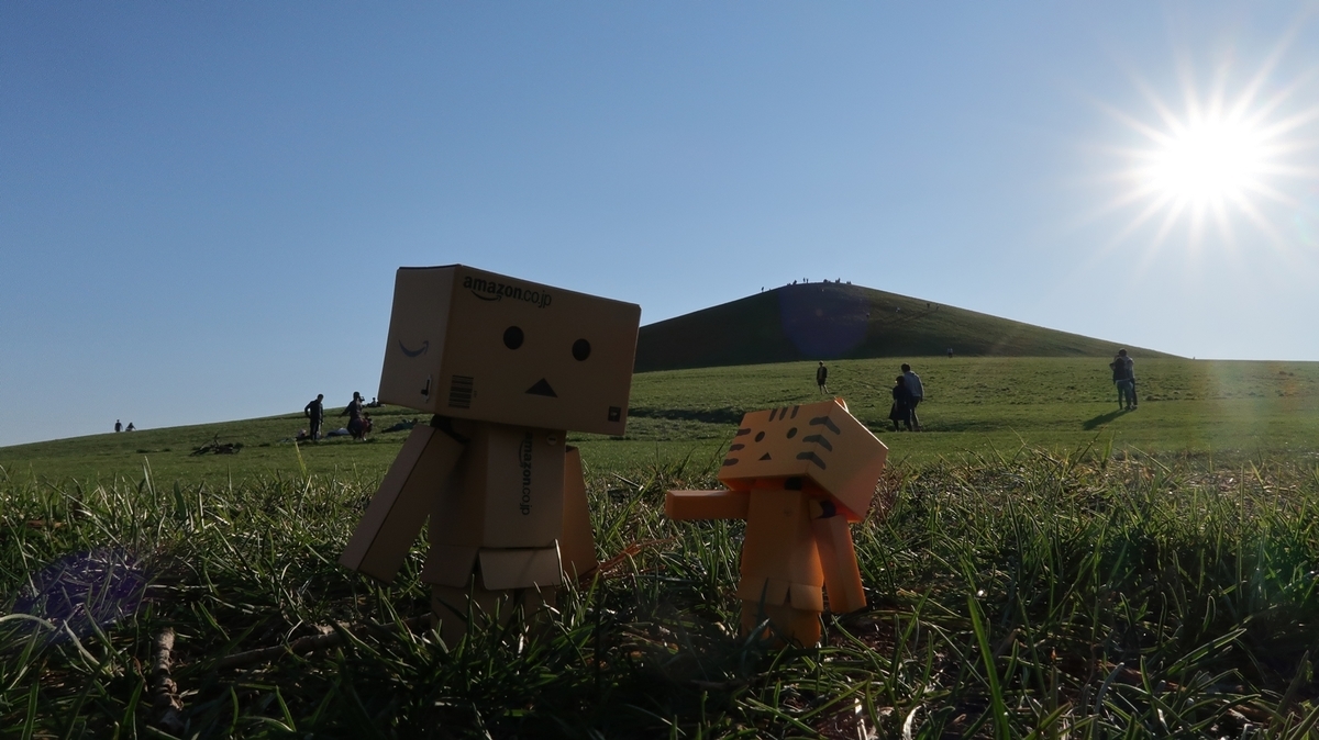 f:id:shirokumapanda:20190616000215j:plain