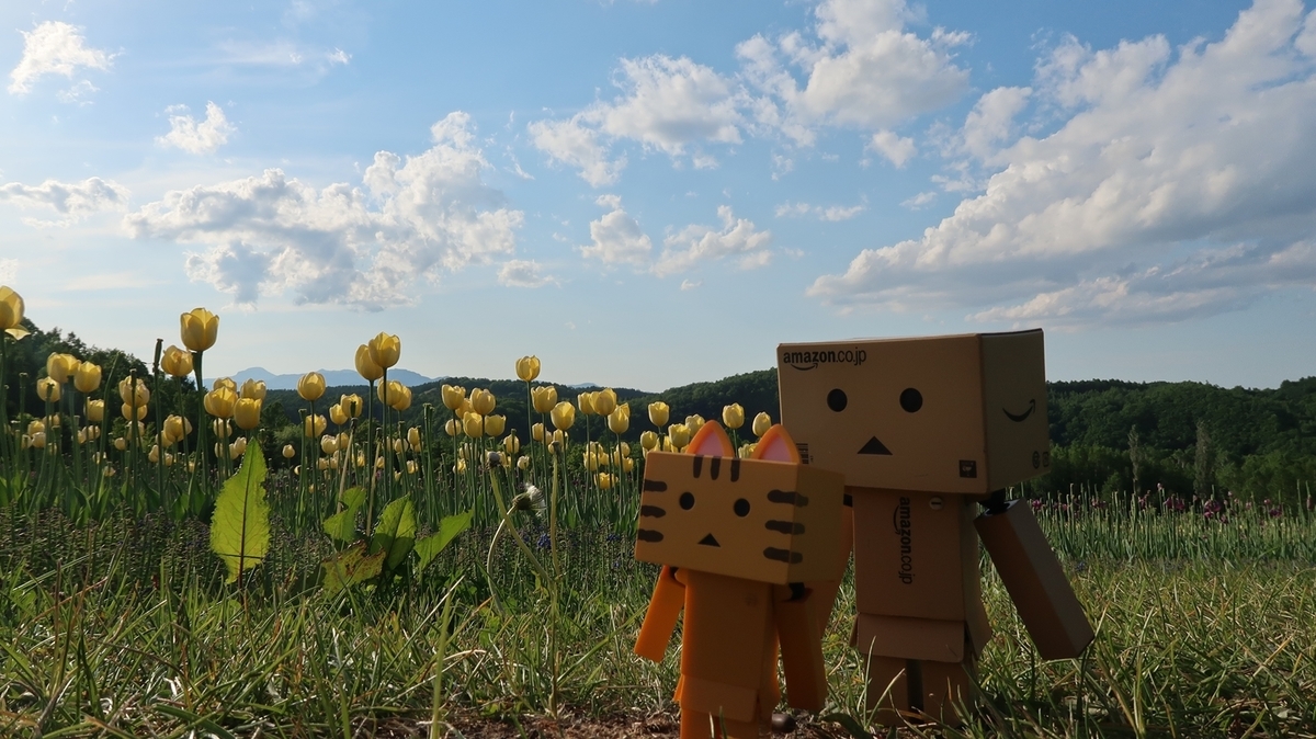 f:id:shirokumapanda:20190618230404j:plain f:id:shirokumapanda:20190618230404j:plain