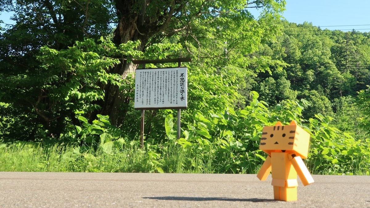 f:id:shirokumapanda:20190624020143j:plain