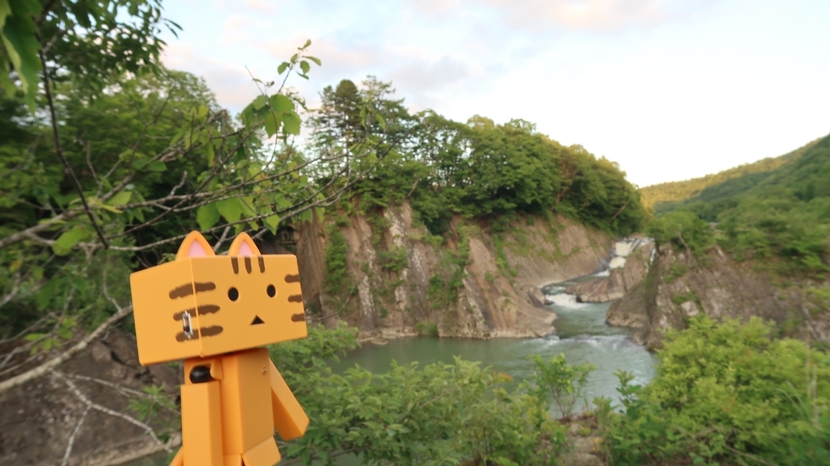 f:id:shirokumapanda:20190624020216j:plain