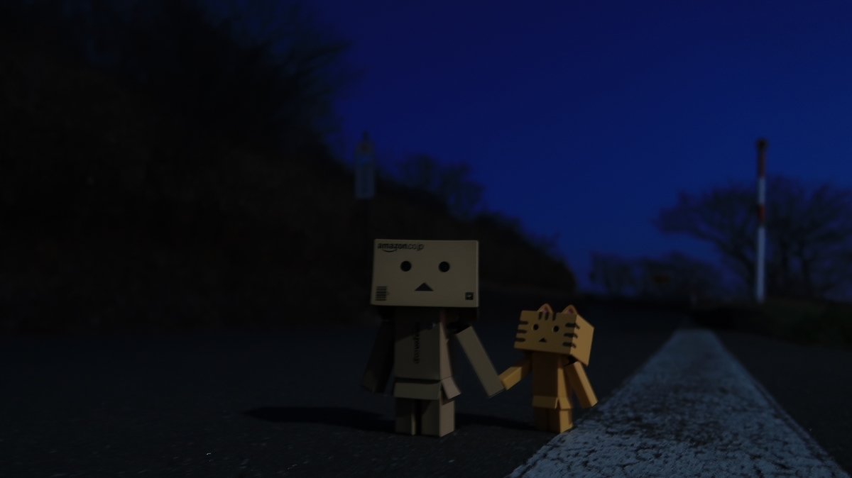 f:id:shirokumapanda:20190624231953j:plain