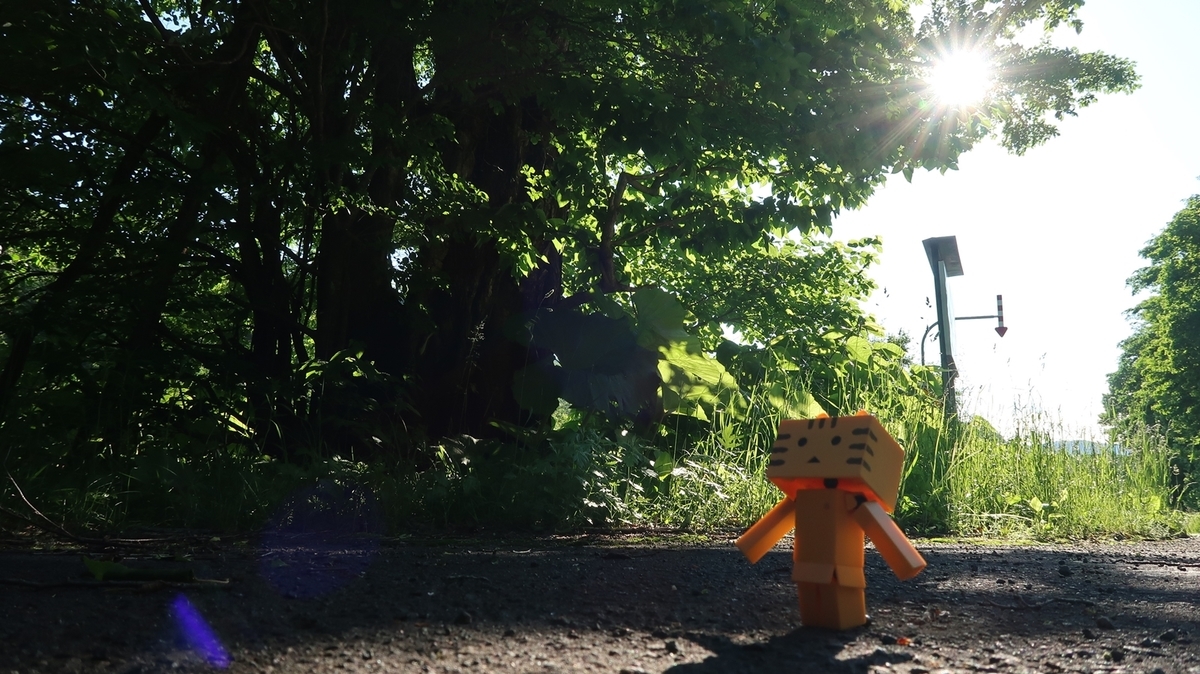 f:id:shirokumapanda:20190625233904j:plain