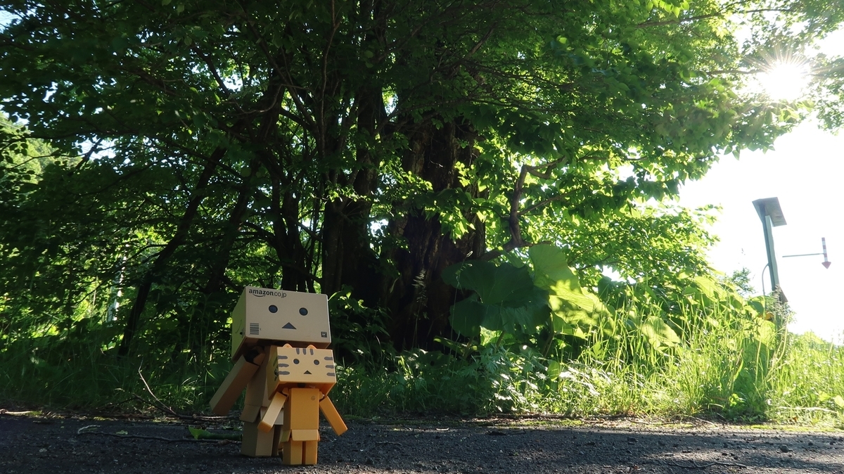 f:id:shirokumapanda:20190625233909j:plain