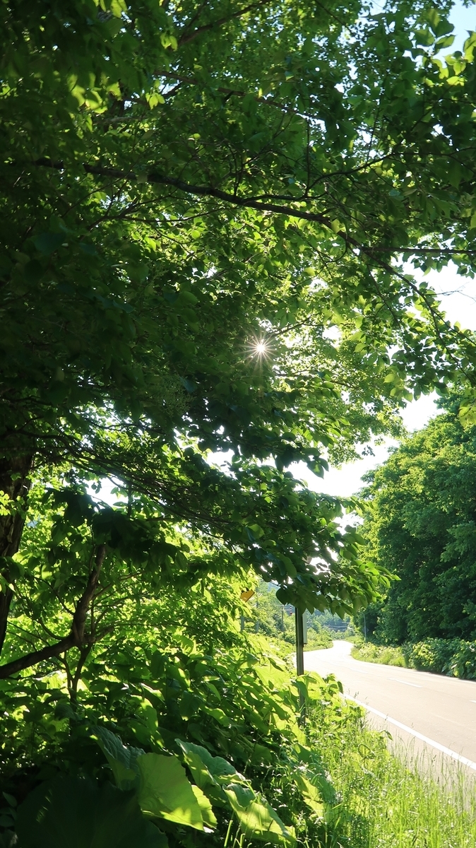 f:id:shirokumapanda:20190625233915j:plain