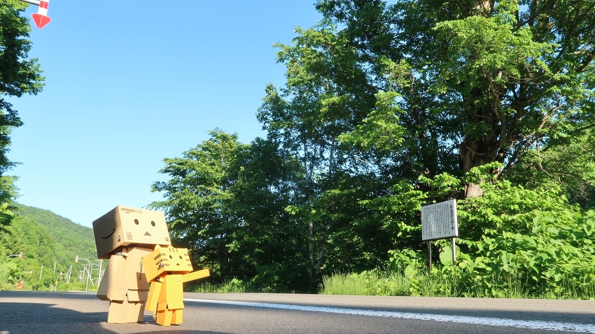 f:id:shirokumapanda:20190625234010j:plain