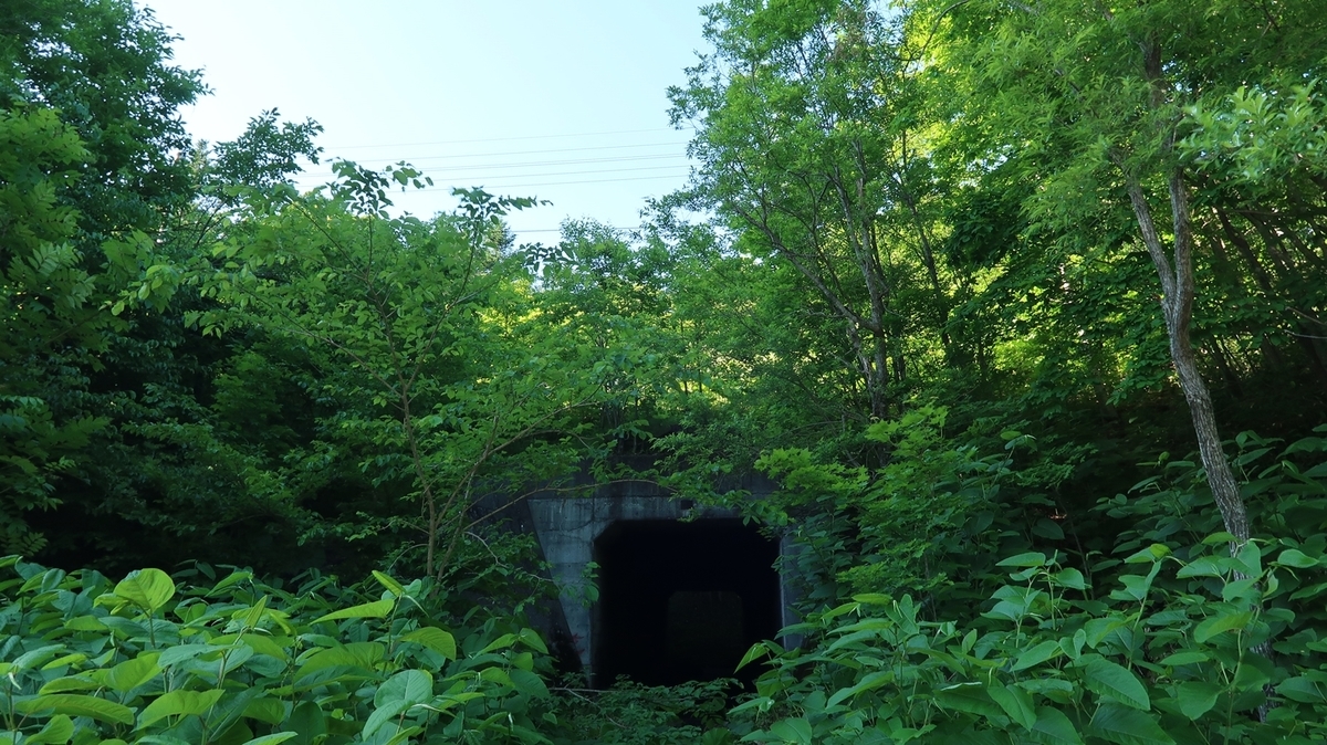 f:id:shirokumapanda:20190625234023j:plain