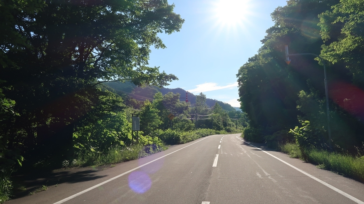 f:id:shirokumapanda:20190625234030j:plain