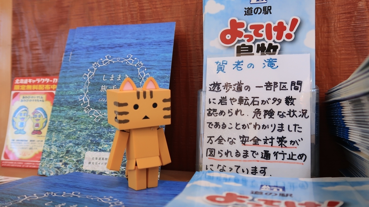 f:id:shirokumapanda:20190627235903j:plain