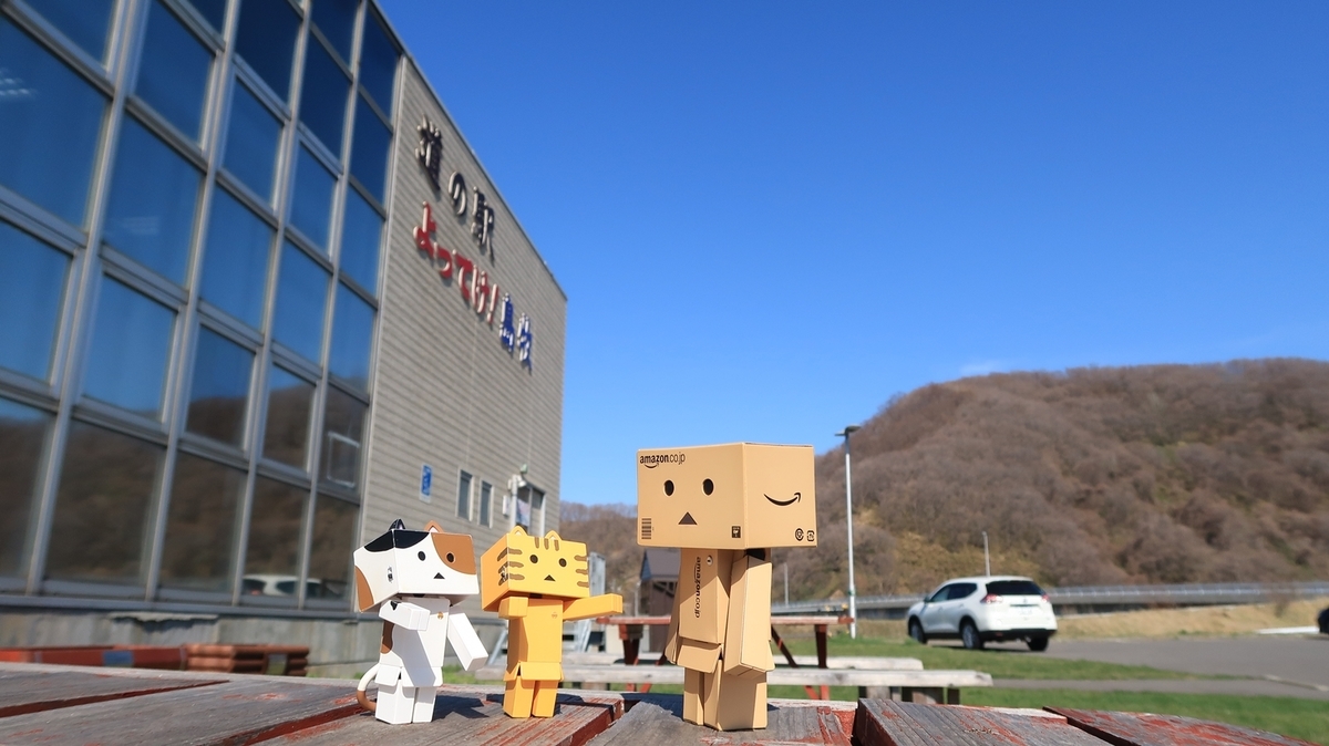 f:id:shirokumapanda:20190627235920j:plain