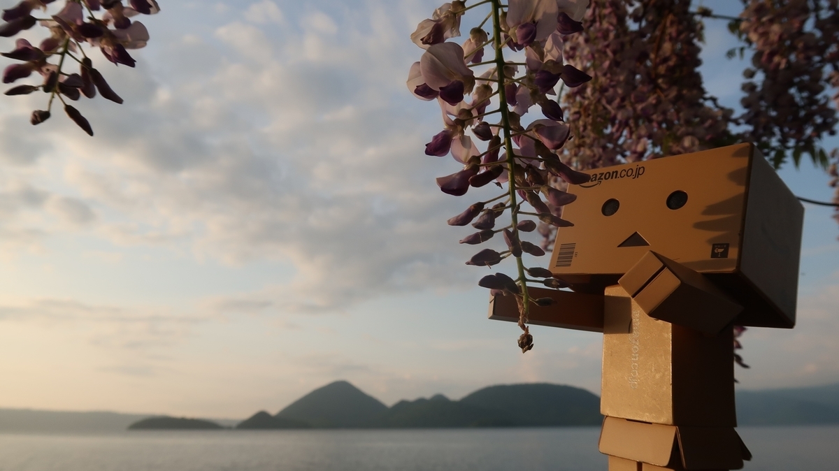 f:id:shirokumapanda:20190630234332j:plain