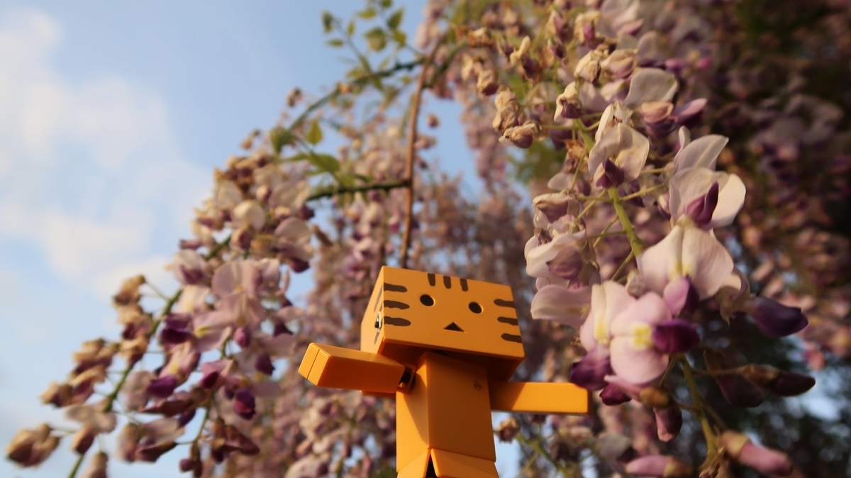 f:id:shirokumapanda:20190630234340j:plain