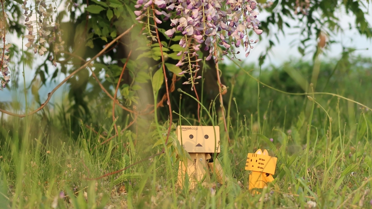 f:id:shirokumapanda:20190630234353j:plain