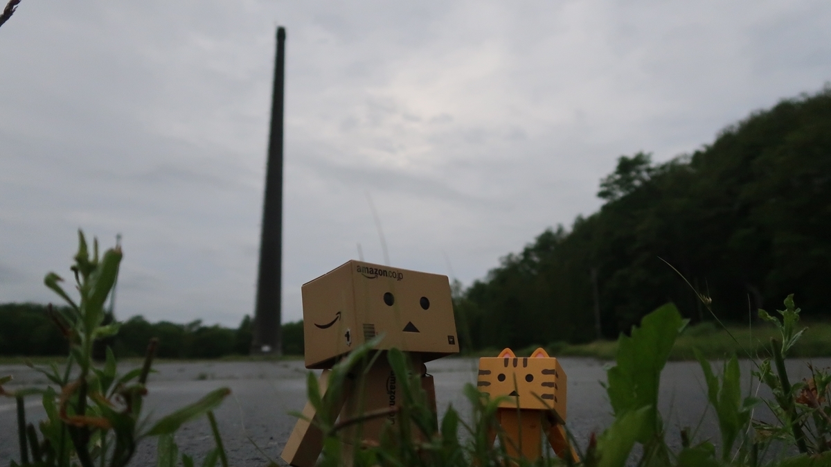 f:id:shirokumapanda:20190702004635j:plain