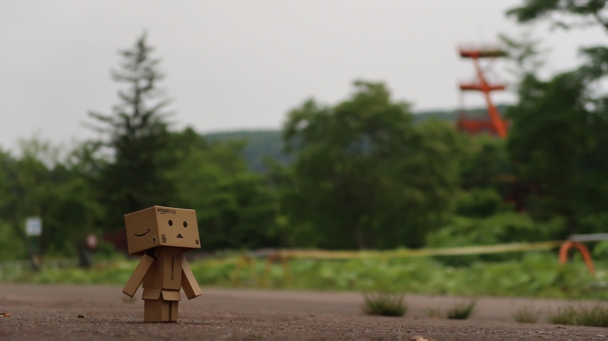 f:id:shirokumapanda:20190702004642j:plain