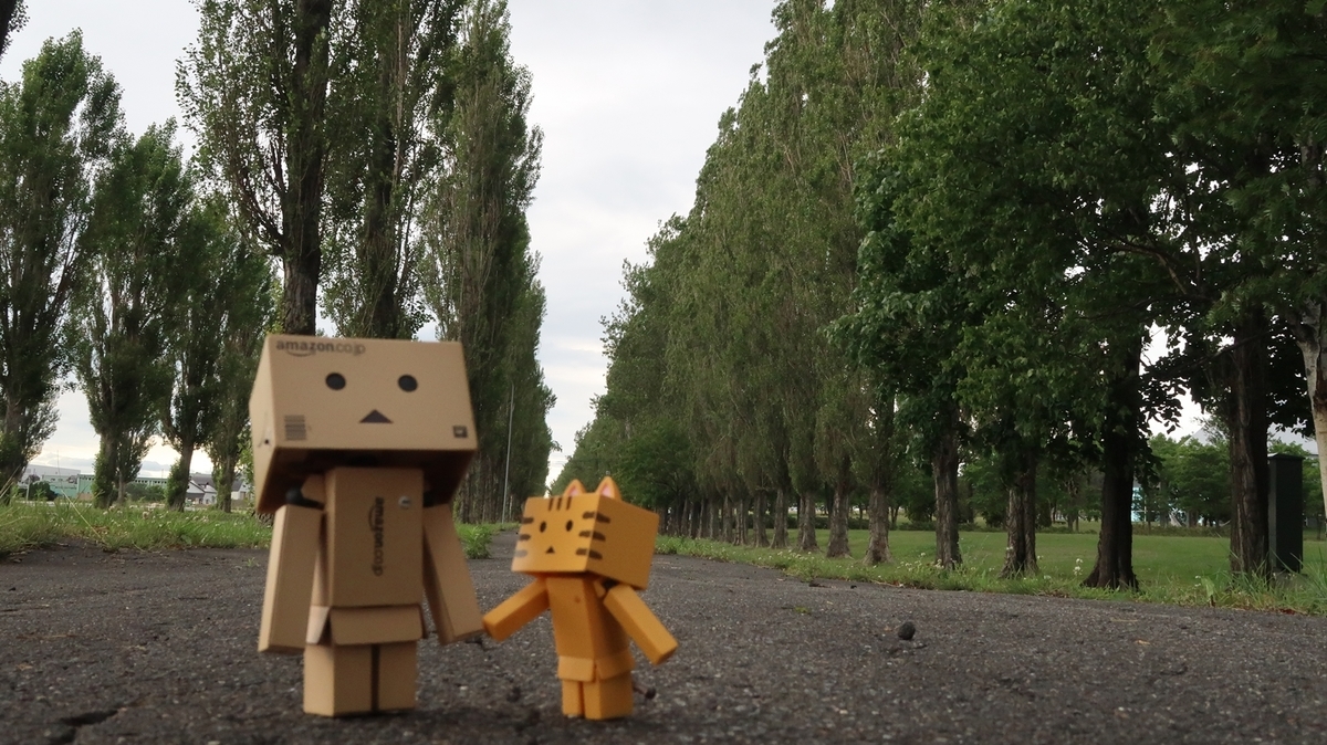 f:id:shirokumapanda:20190703005642j:plain f:id:shirokumapanda:20190703005642j:plain