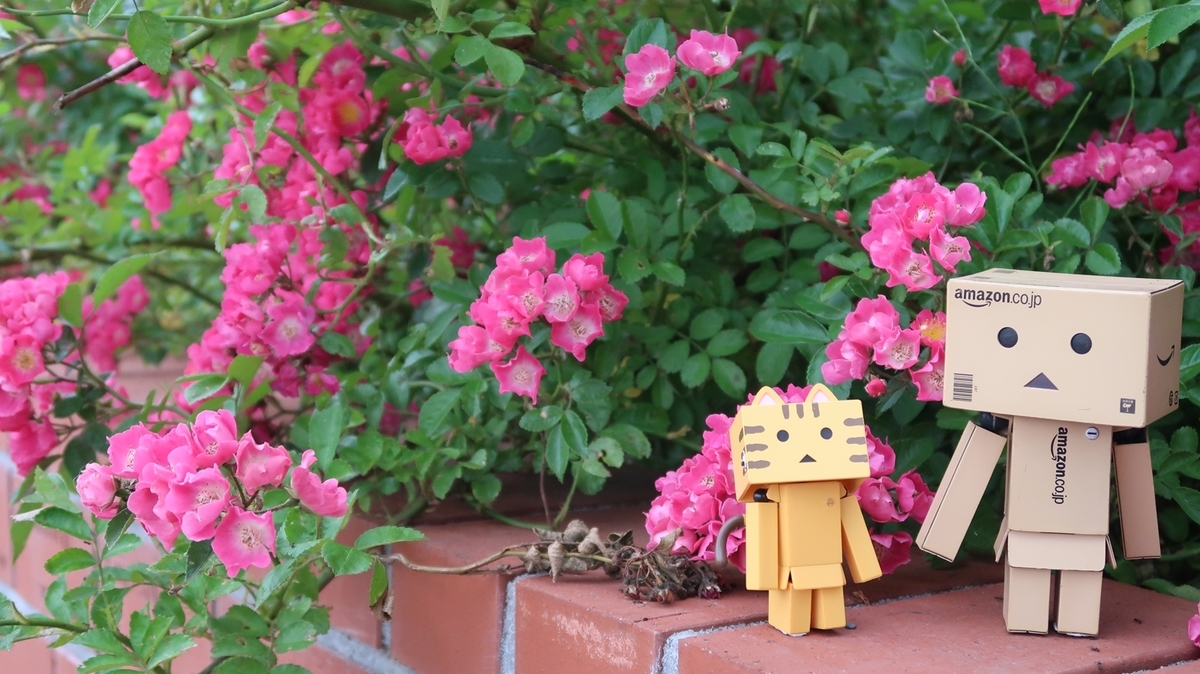 f:id:shirokumapanda:20190703005648j:plain f:id:shirokumapanda:20190703005648j:plain