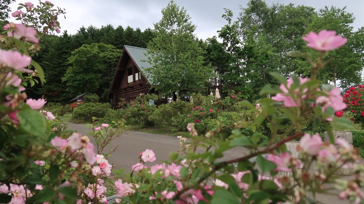 f:id:shirokumapanda:20190703005655j:plain f:id:shirokumapanda:20190703005655j:plain