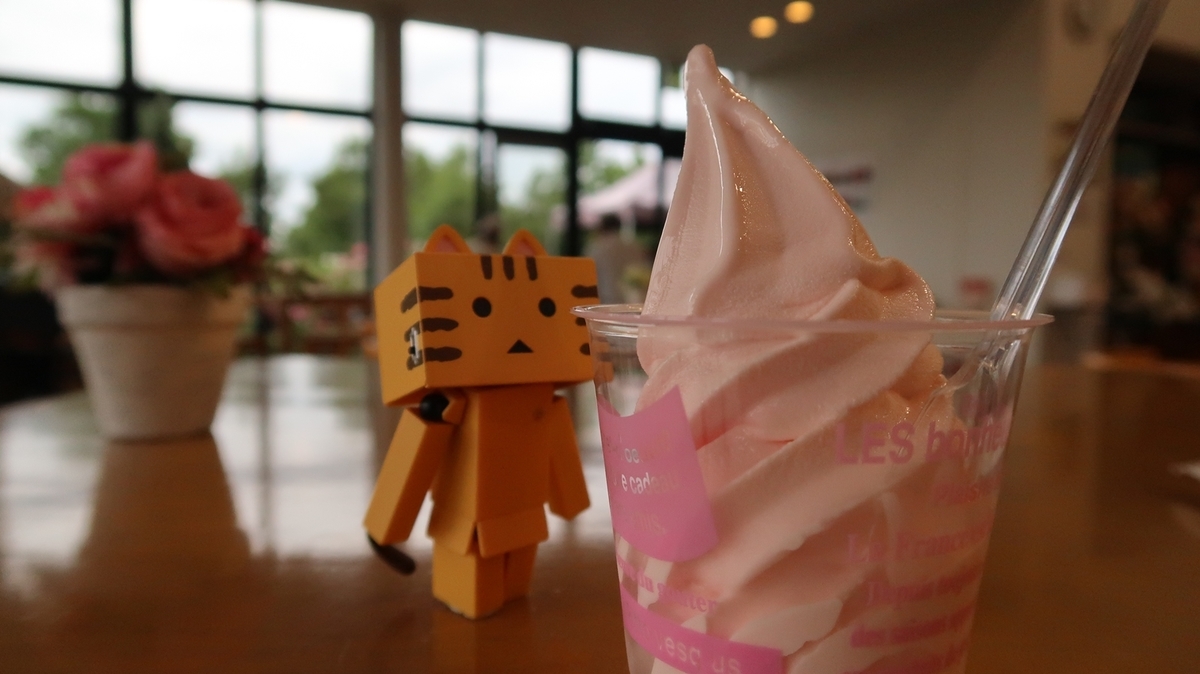 f:id:shirokumapanda:20190703005816j:plain f:id:shirokumapanda:20190703005816j:plain