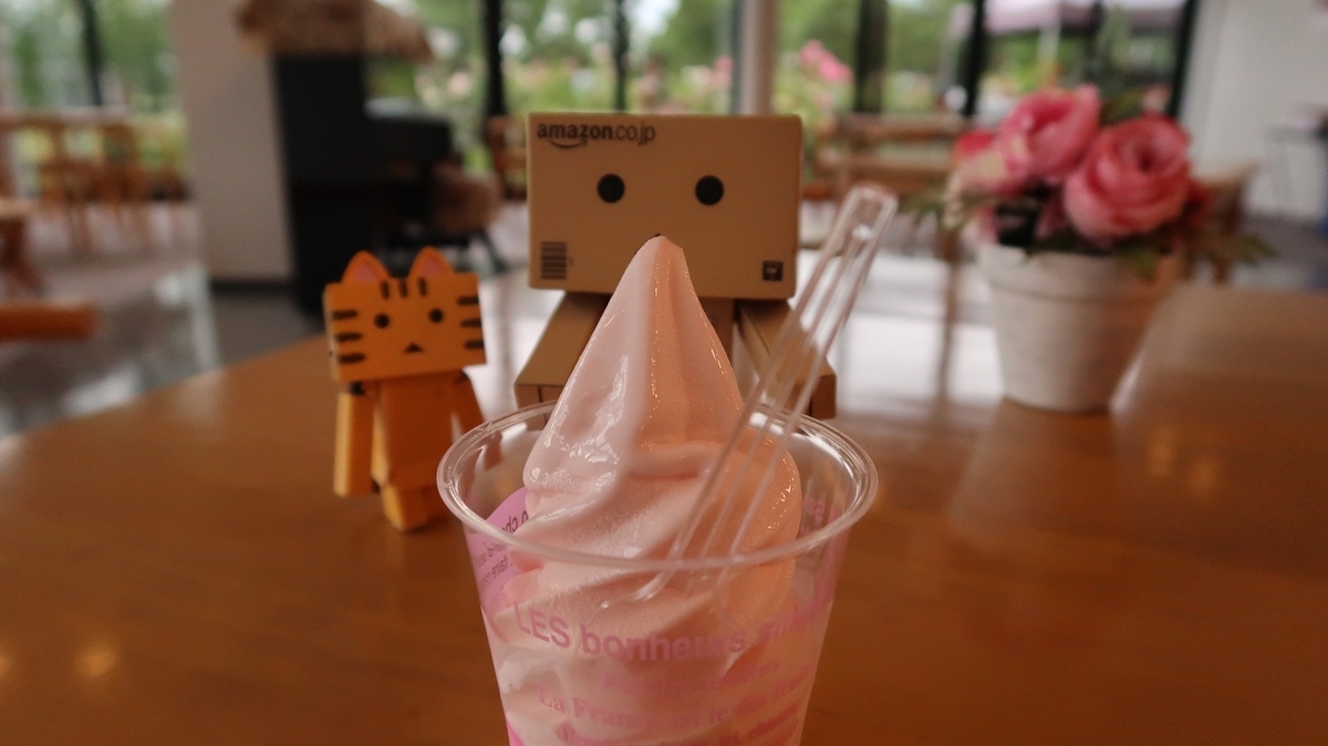 f:id:shirokumapanda:20190703005834j:plain f:id:shirokumapanda:20190703005834j:plain