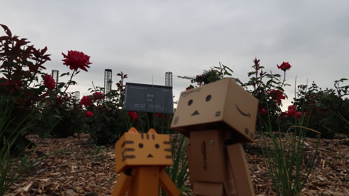 f:id:shirokumapanda:20190703005922j:plain f:id:shirokumapanda:20190703005922j:plain