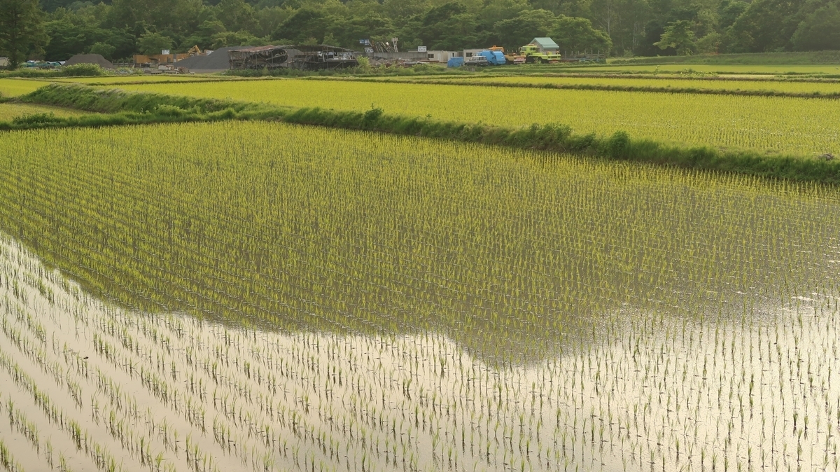 f:id:shirokumapanda:20190704012622j:plain
