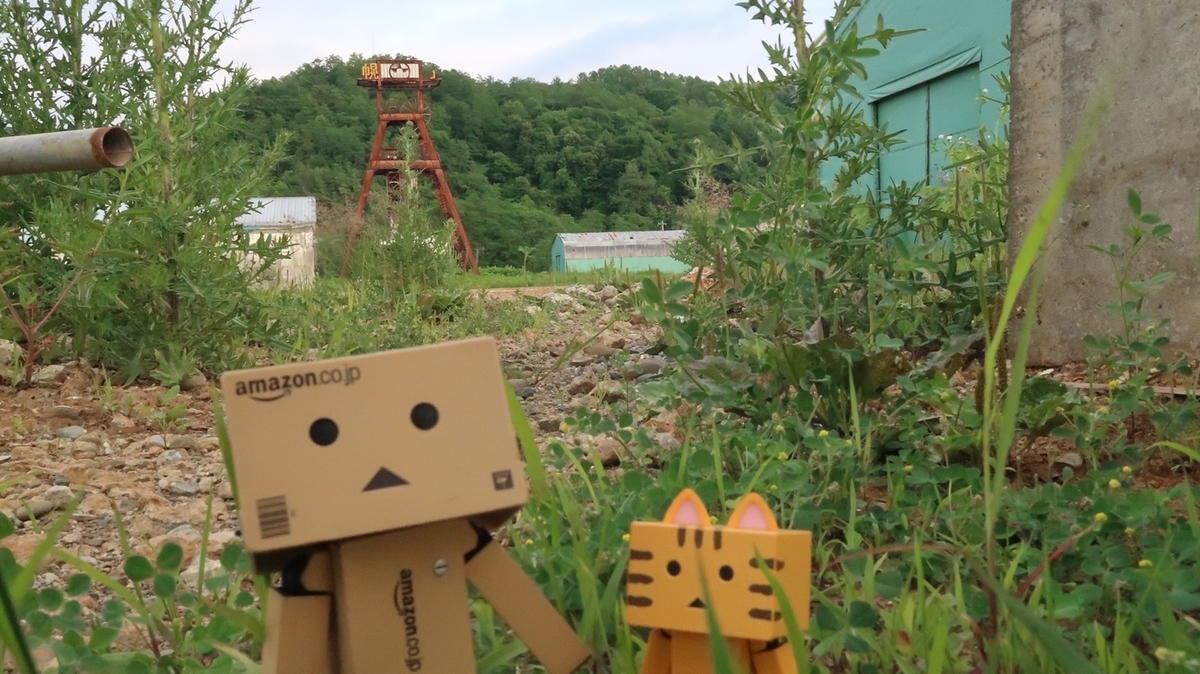 f:id:shirokumapanda:20190708233219j:plain