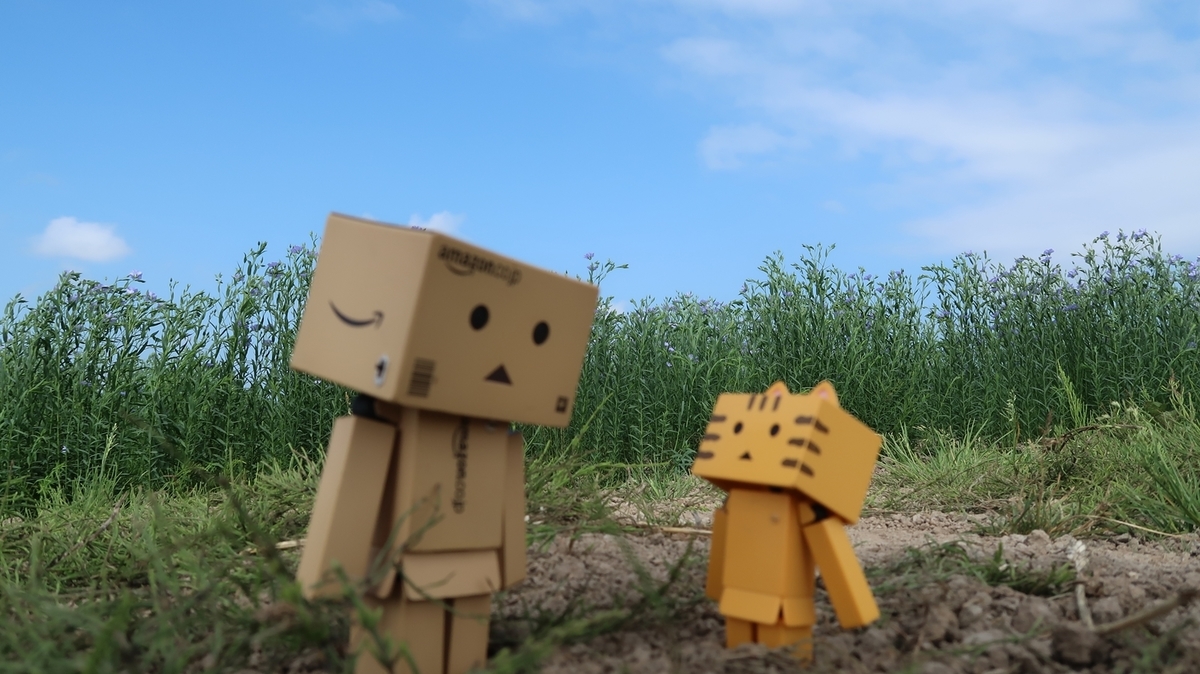 f:id:shirokumapanda:20190708233322j:plain
