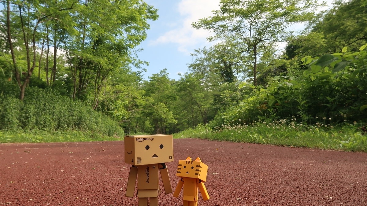 f:id:shirokumapanda:20190708233355j:plain