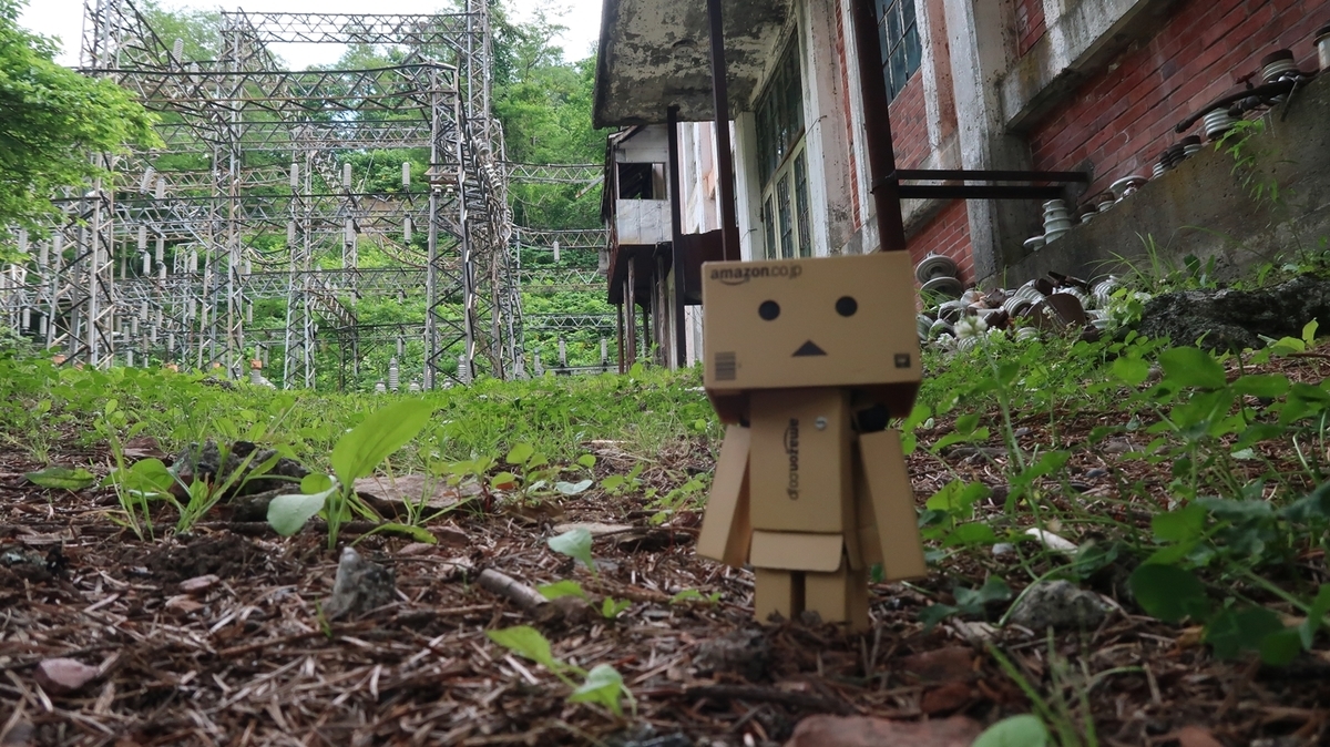 f:id:shirokumapanda:20190708233425j:plain