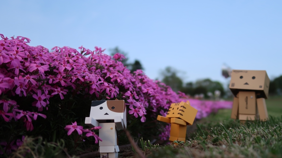 f:id:shirokumapanda:20190710010009j:plain