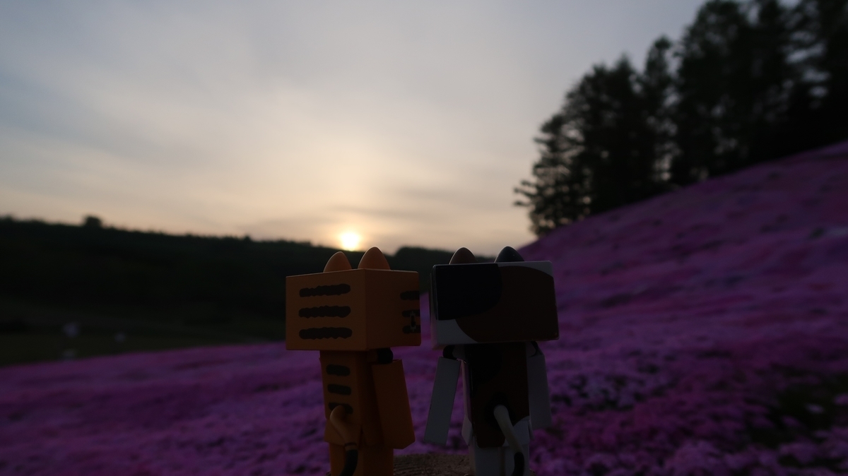 f:id:shirokumapanda:20190710010019j:plain