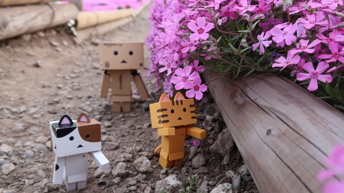 f:id:shirokumapanda:20190710010030j:plain